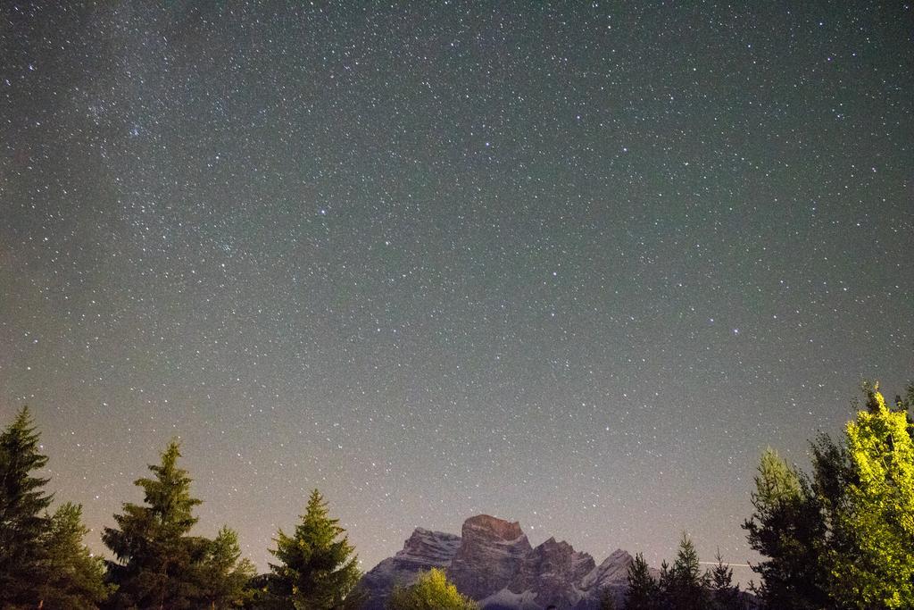 Hotel Boite Borca di Cadore Bagian luar foto